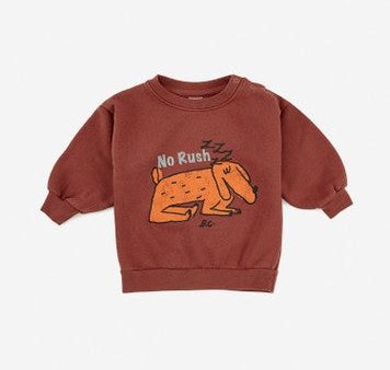 Baby Boys & Girls Brown Sweatshirt Fashion