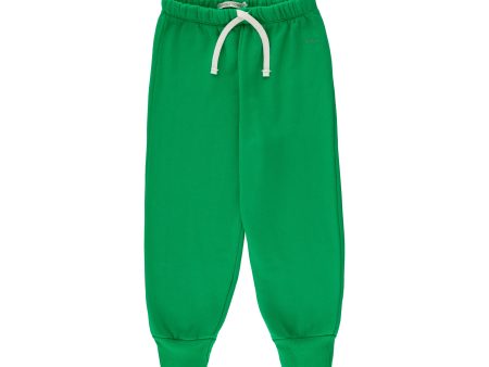 Boys & Girls Green Cotton Trousers Online Sale