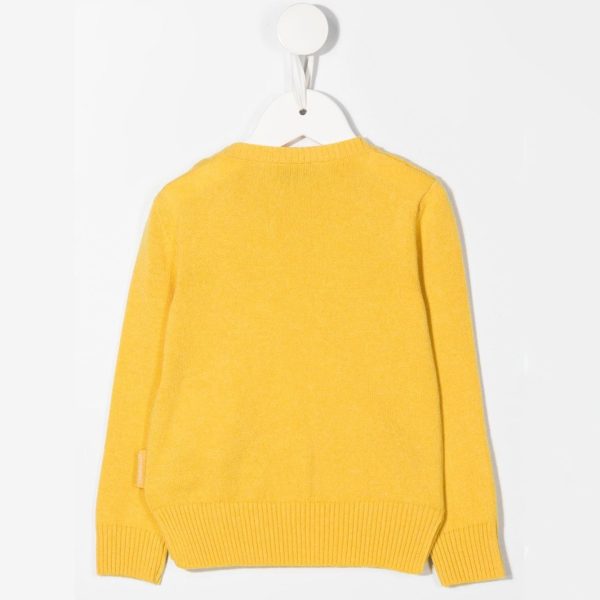 Baby Boys & Girls Yellow Wool Sweater on Sale