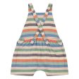 Baby Boys & Girls Multicolor Stripes Cotton Babysuit Fashion