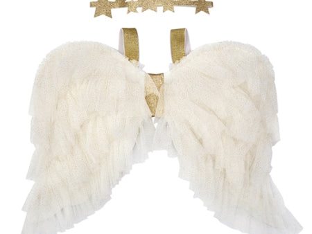 Angel Wings Costume In Tulle Online