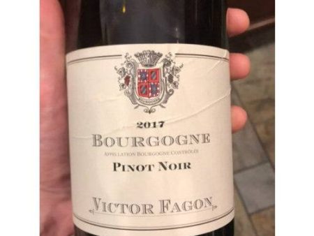 Victor Fagon Bourgogne Pinot Noir 2019 (750ml) Online now