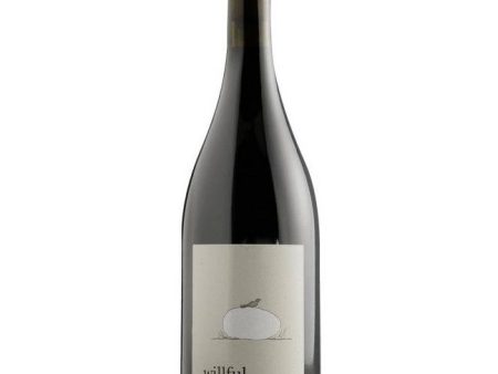 Willful Winemaker Cuvée Pinot Noir 2021 (750ml) on Sale